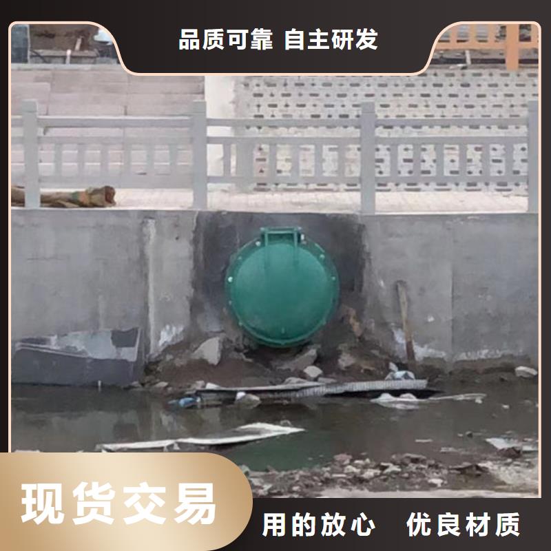 拍门球墨铸铁拍门款式新颖