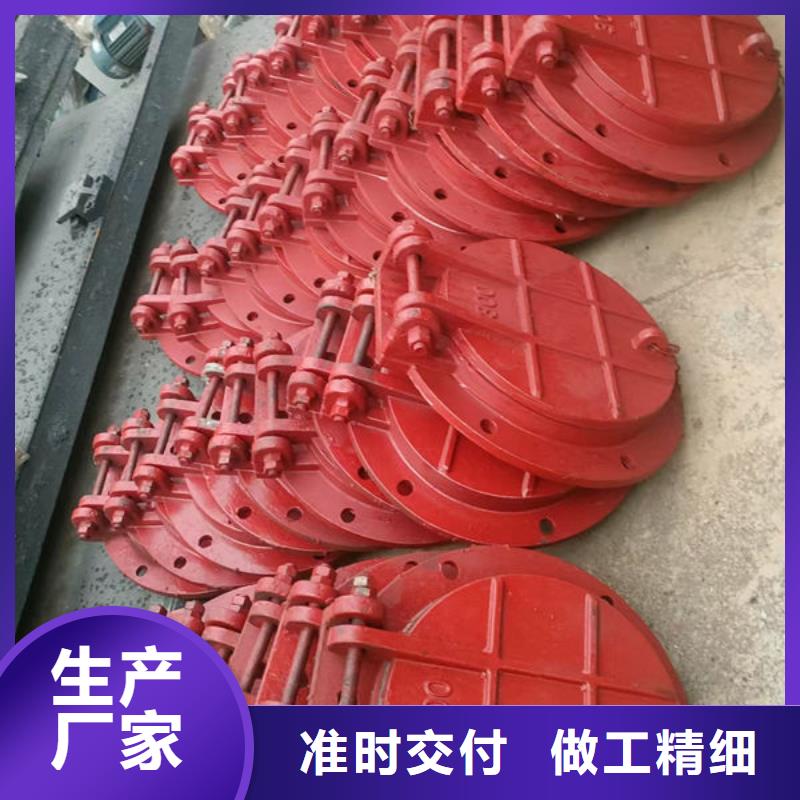 拍门-不锈钢拍门品质优选