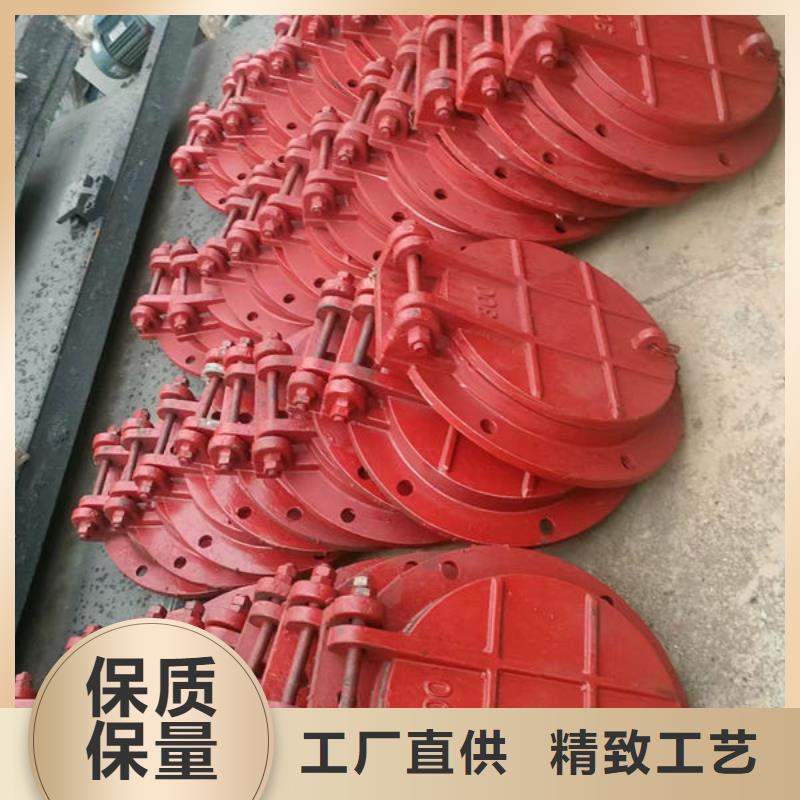 拍门复合材料拍门品质做服务