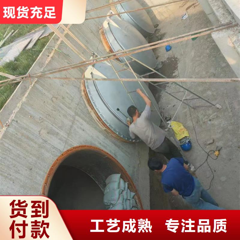 拍门钢制拍门准时交付