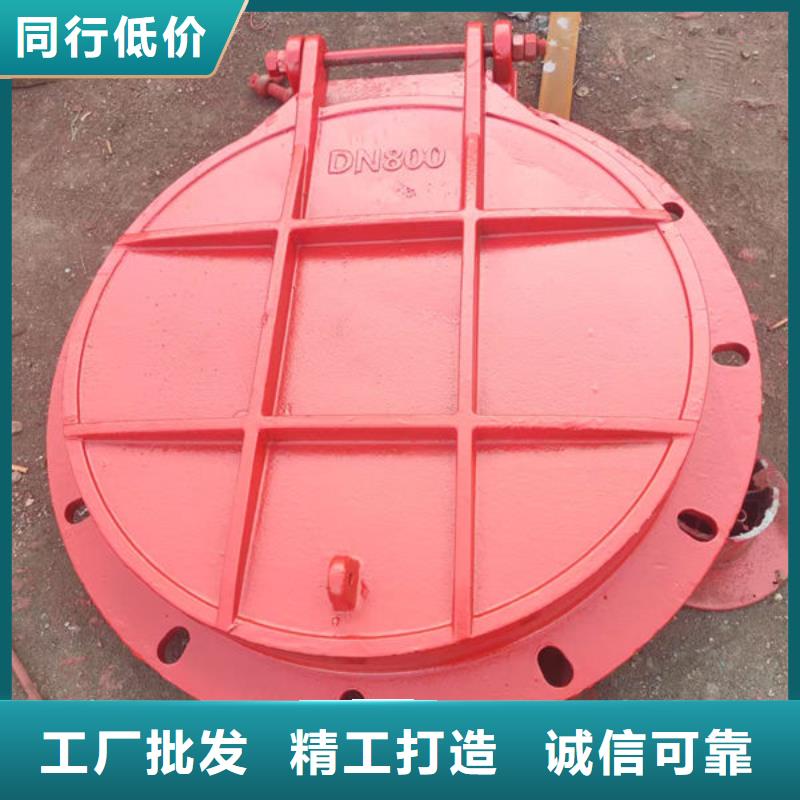 拍门不锈钢拍门卓越品质保障