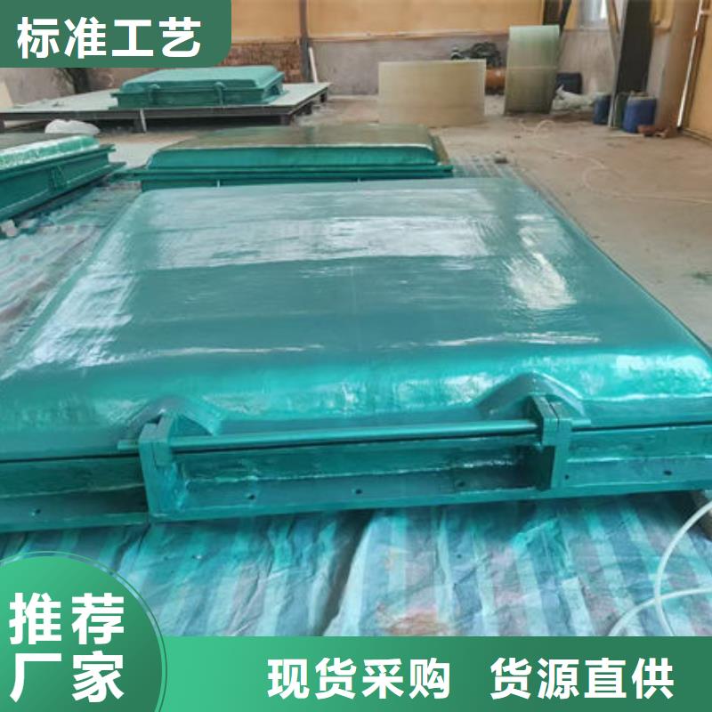 拍门球墨铸铁拍门厂家规格全