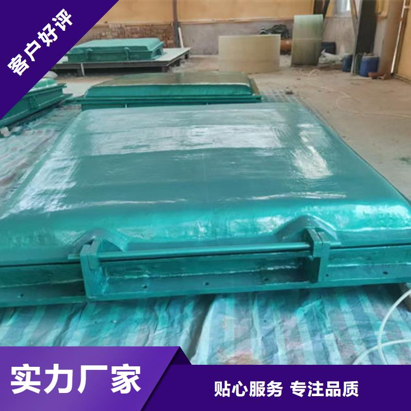 拍门防倒灌拍门经久耐用