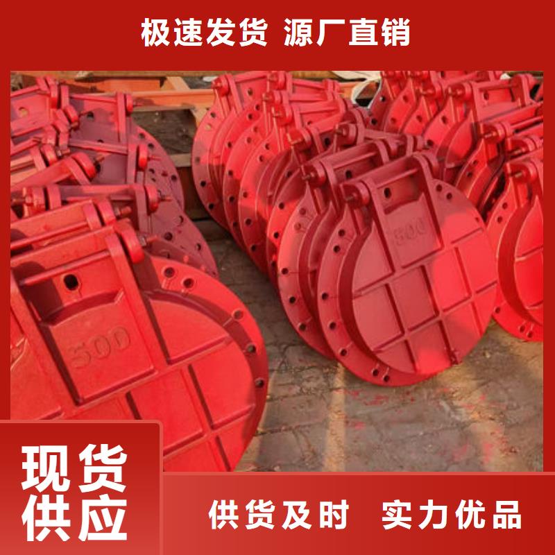 拍门_球墨铸铁拍门源头厂家供应