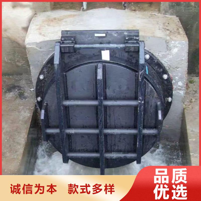 拍门防倒灌拍门同行低价