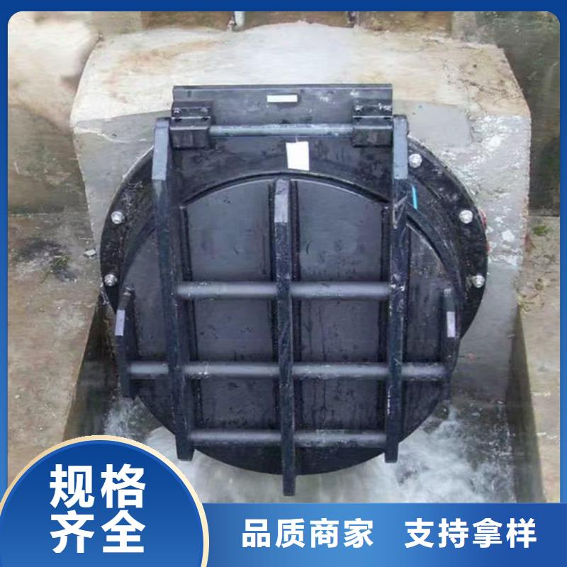 拍门铸铁拍门现货充足