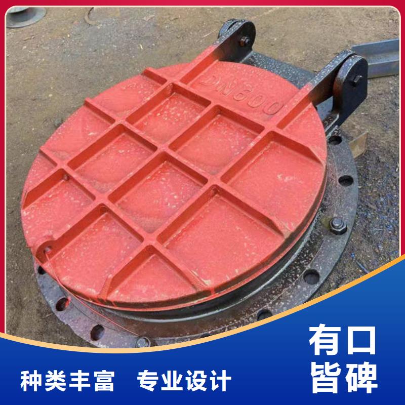 拍门,不锈钢拍门厂家货源