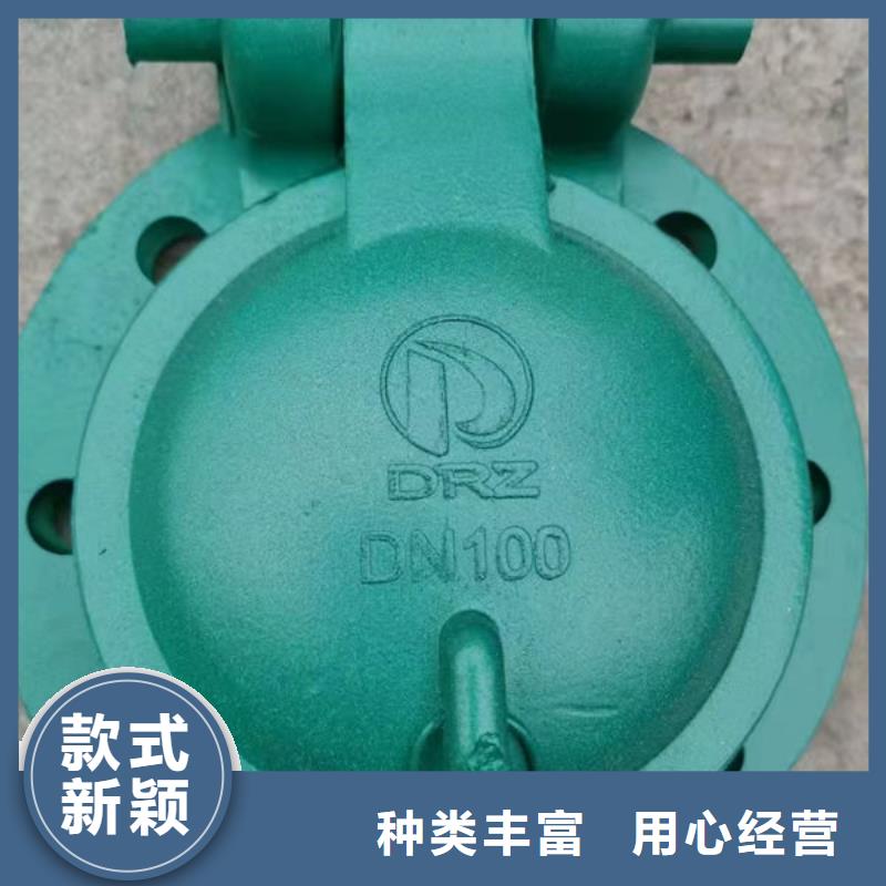 拍门,不锈钢拍门现货采购