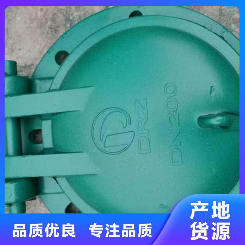 拍门防倒灌拍门厂家精选