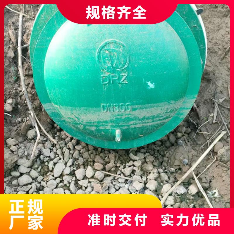 拍门-不锈钢拍门品质优选