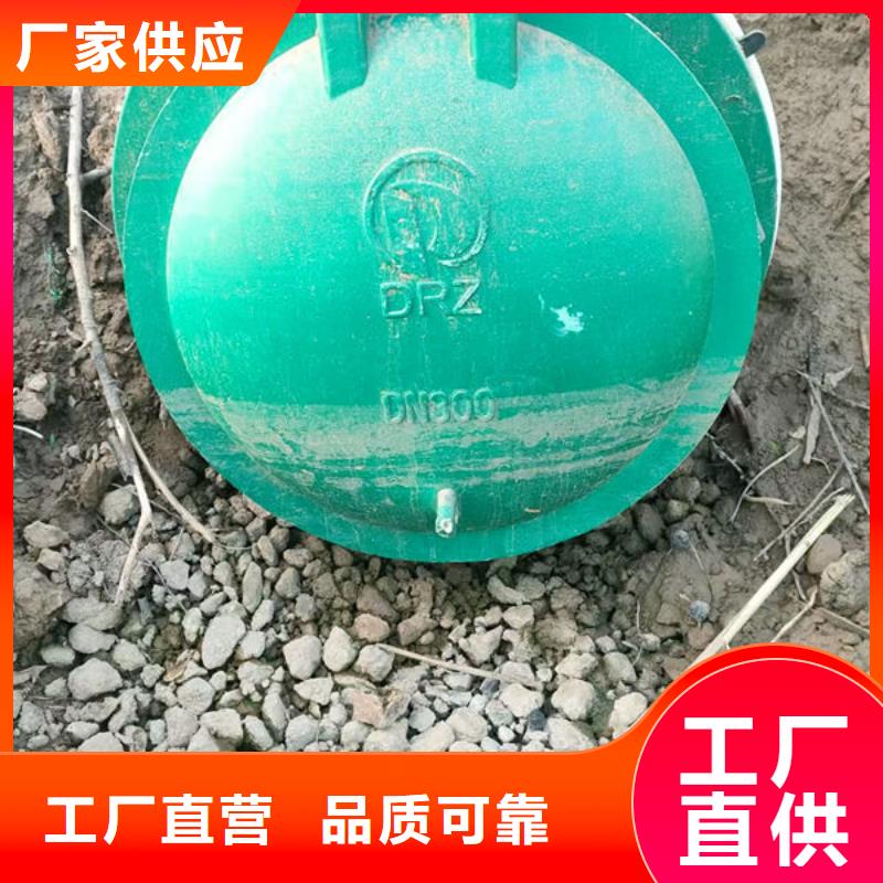 拍门球墨铸铁拍门质检严格放心品质