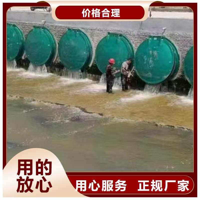拍门球墨铸铁拍门买的放心