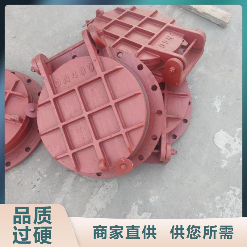 拍门防倒灌拍门订制批发