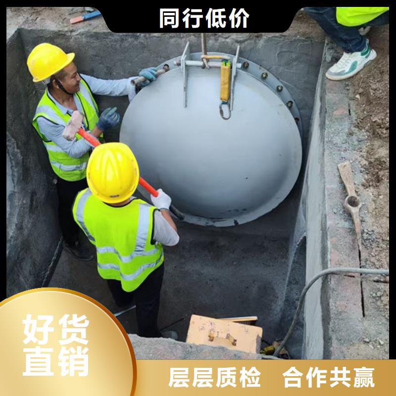 拍门-不锈钢拍门品质优选