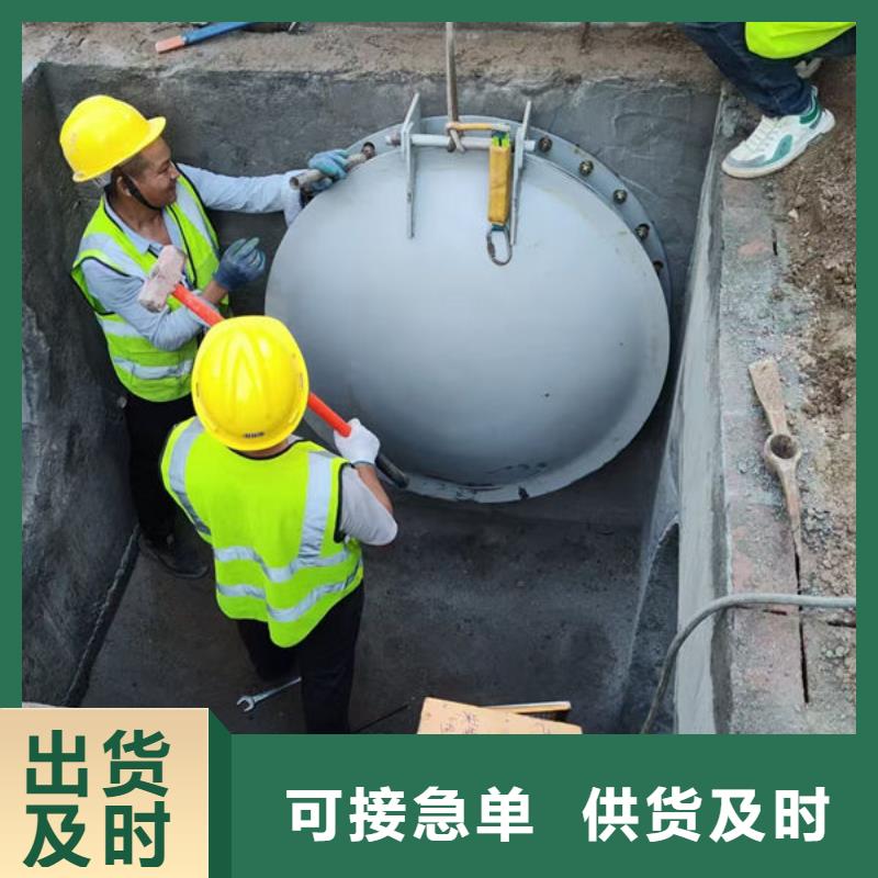 拍门球墨铸铁拍门买的放心