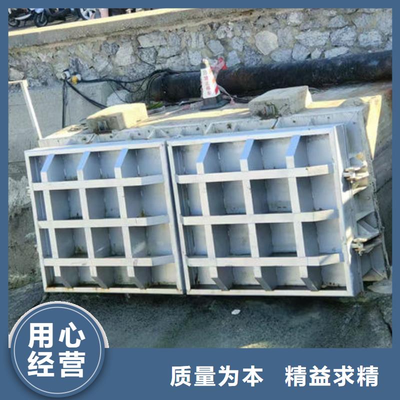 拍门防倒灌拍门订制批发
