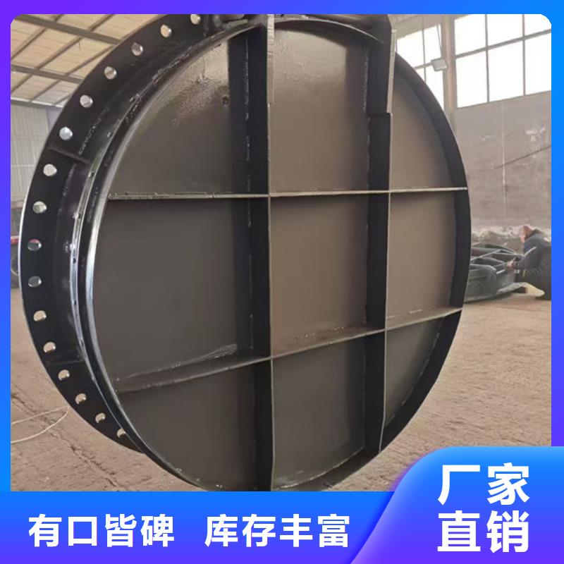 拍门复合材料拍门匠心打造