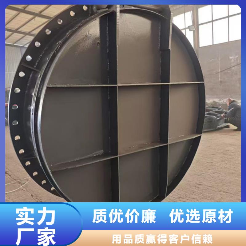 拍门防倒灌拍门同行低价