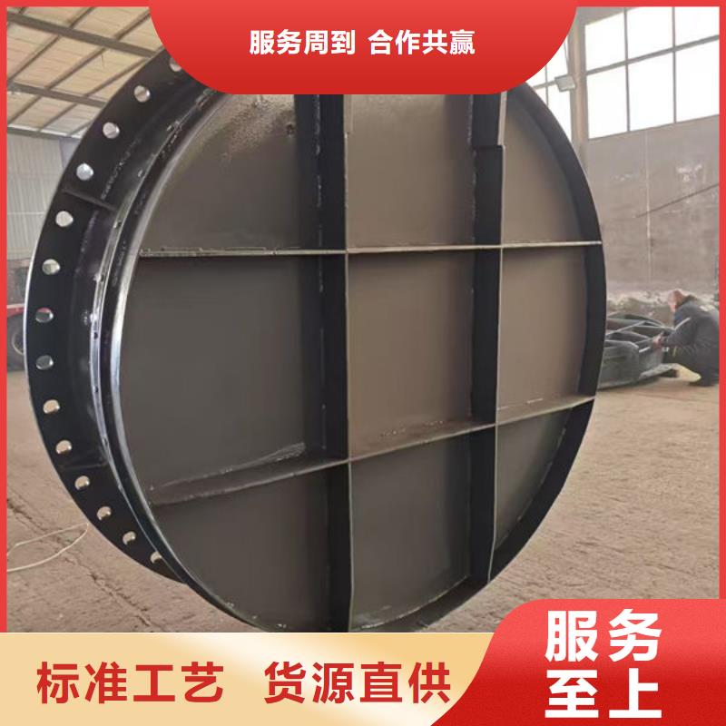 拍门-不锈钢拍门品质优选