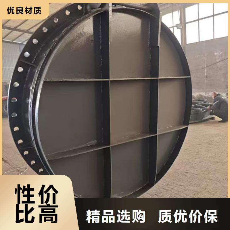 拍门球墨铸铁拍门买的放心