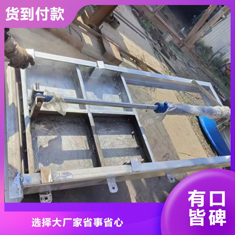 不锈钢闸门捞污珊品质过硬