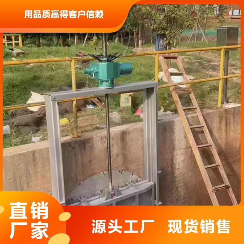 不锈钢闸门附壁式不锈钢闸门诚信商家