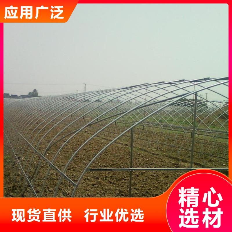 热镀锌椭圆管-大棚骨架批发