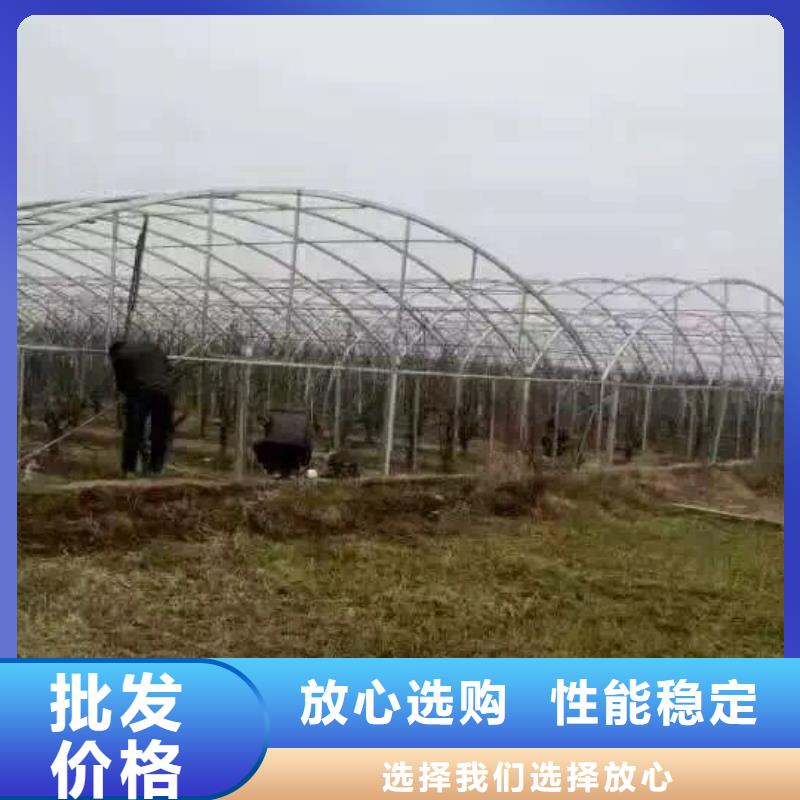 镀锌钢管5*600*1500黄铜板多种优势放心选择