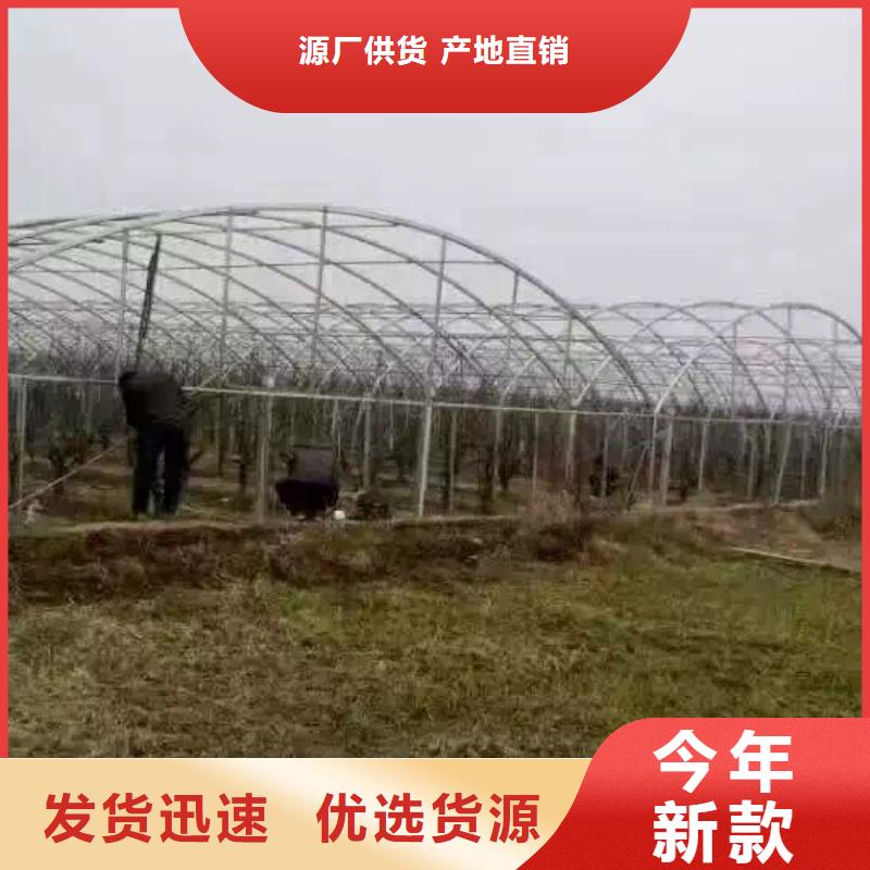 镀锌钢管5*600*1500黄铜板多种优势放心选择