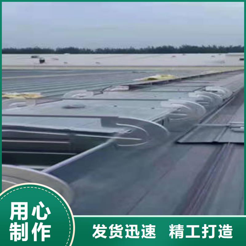侧开型电动采光排烟天窗