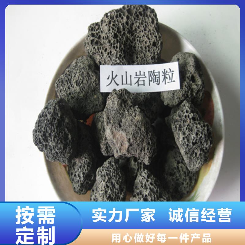 【陶粒】无烟煤滤料用好材做好产品由豫嵩为您
