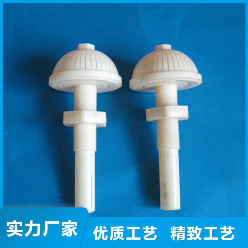 滤头帽沸石优选货源