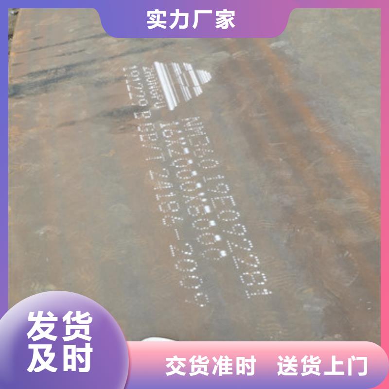 进口耐磨板哈道斯耐磨板厂家定制定做