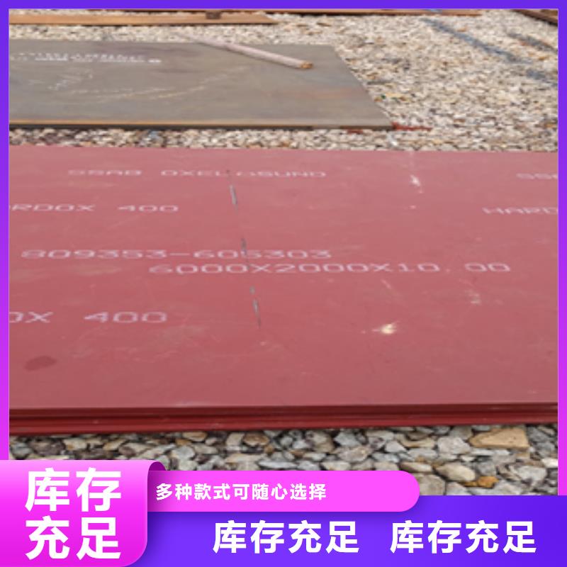 进口耐磨板哈道斯耐磨板厂家定制定做