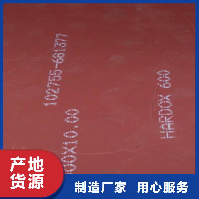 进口耐磨板哈道斯耐磨板厂家定制定做