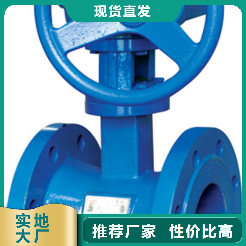 【 蝶阀远大闸阀高品质诚信厂家】本地品牌