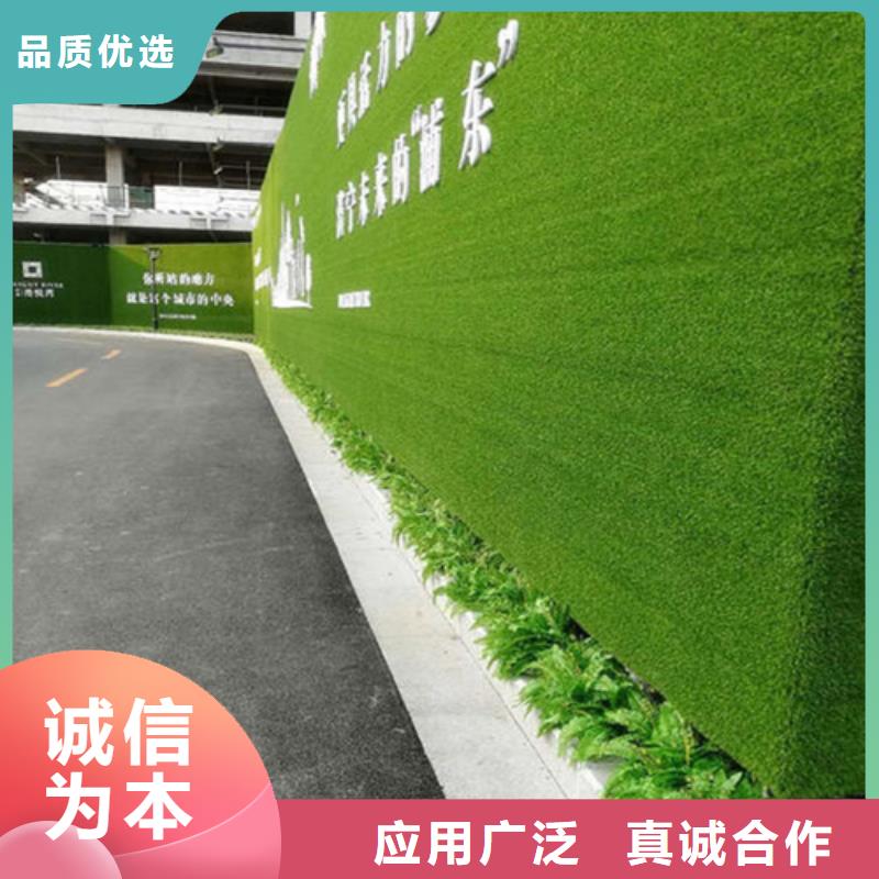 围挡草坪视频-西藏日喀则市|康妈|萨嘎|那曲|拉萨|林芝|山南|阿里|昌都围挡草坪-博翔远