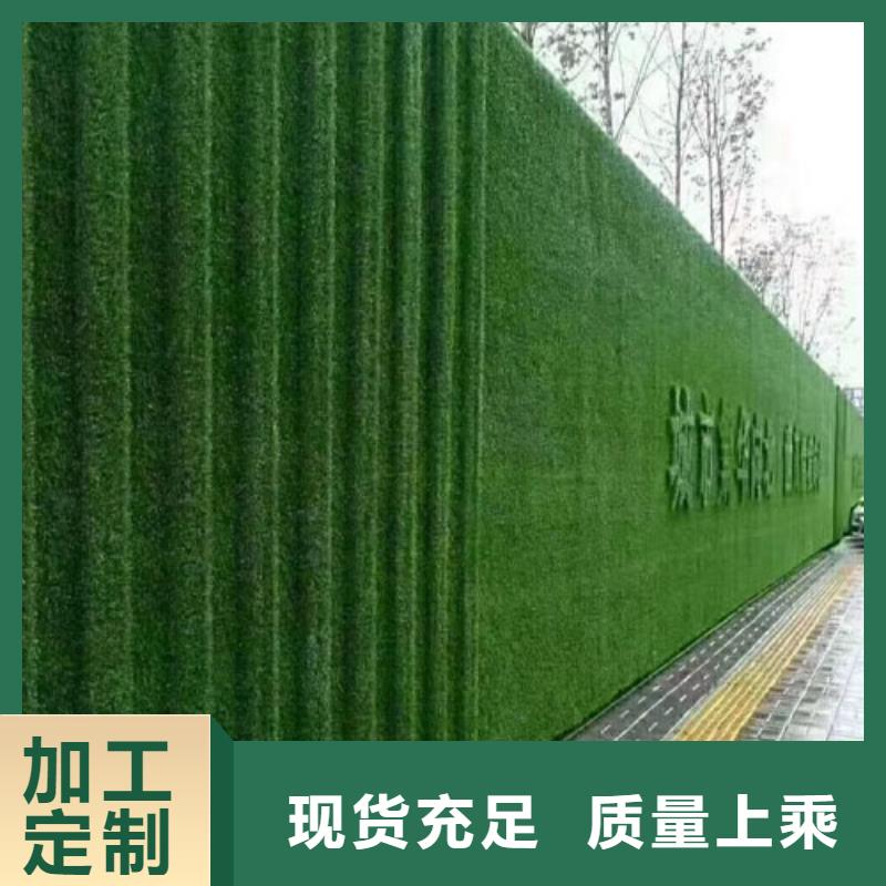 围挡草坪视频-围挡草坪-博翔远人造草坪(鹤岗市分公司)服务区域工农|向阳|佳木斯|哈尔滨|大庆|牡丹江|齐齐哈尔|黑河