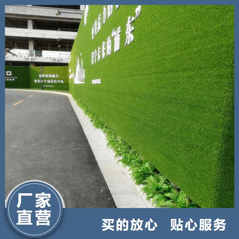 草坪围挡人造草坪围挡源头厂商
