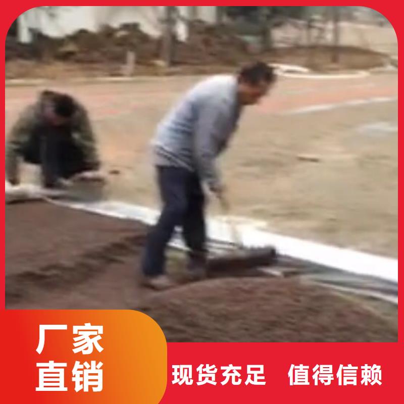 透水艺术压模地坪放心购
