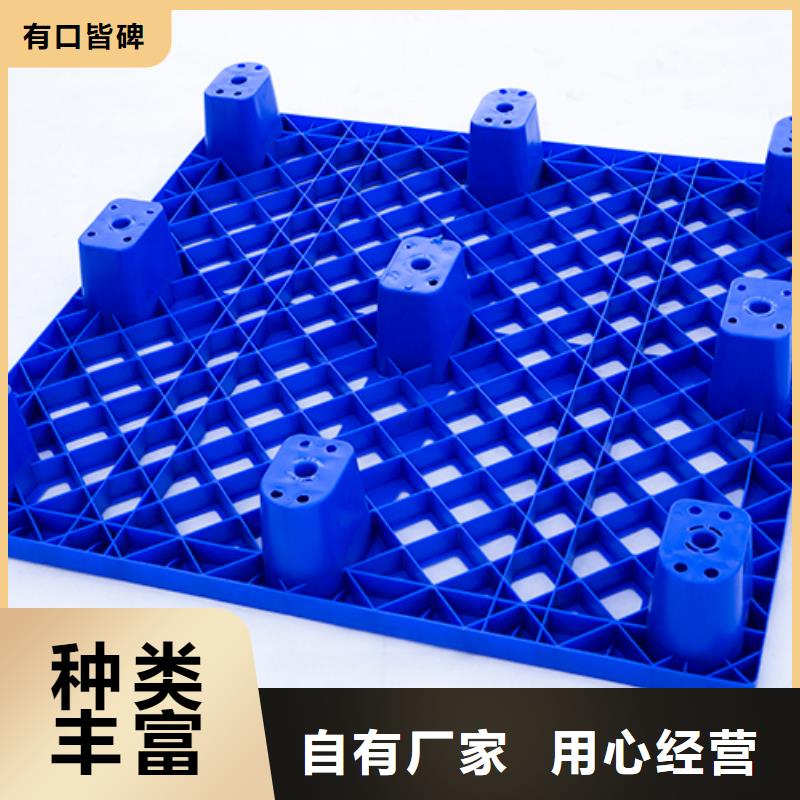 分类垃圾桶视频-分类垃圾桶|辽宁省大连市|金州|沙河口|盘锦|阜新|本溪|铁岭|朝阳|葫芦岛|营口