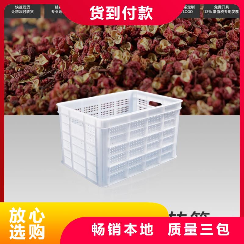 塑料筐【塑料圆桶】服务周到