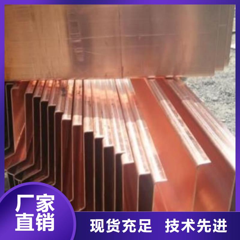 广硕紫铜止水服务商