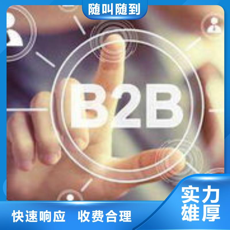 马云网络网络公司正规公司