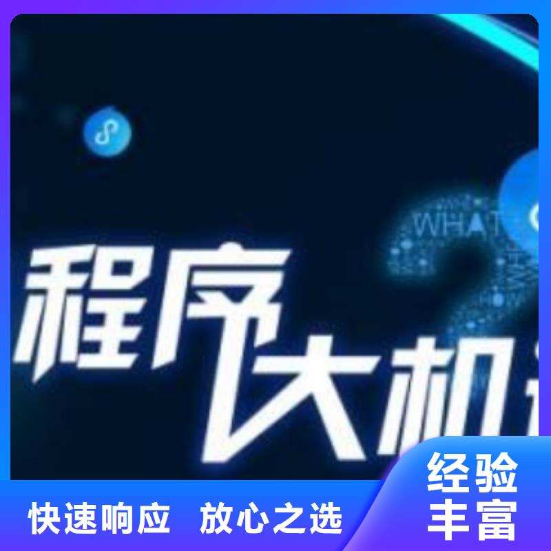 手机【网络公司】多家服务案例