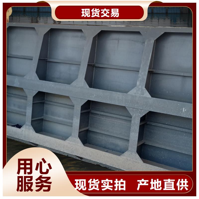 钢闸门实力公司