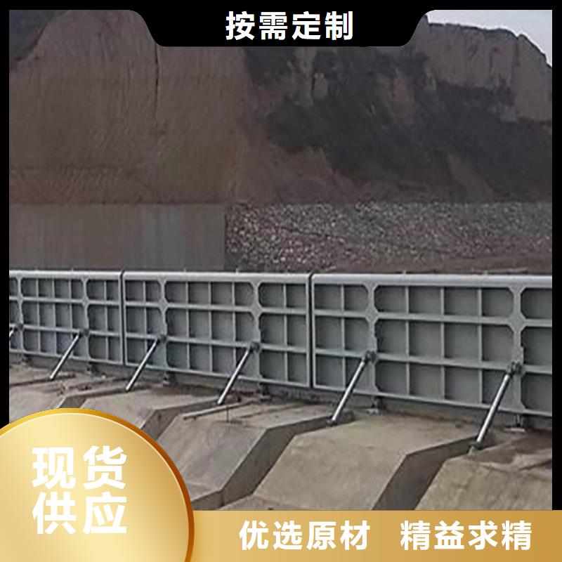 定轮钢闸门生产商
