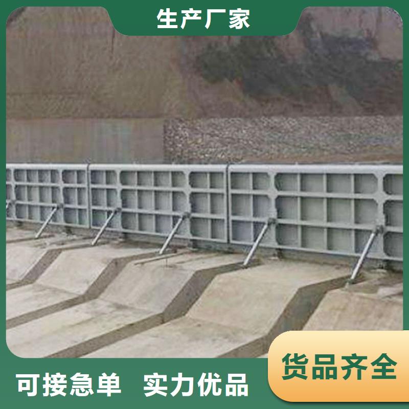 钢闸门,合页钢坝支持货到付清