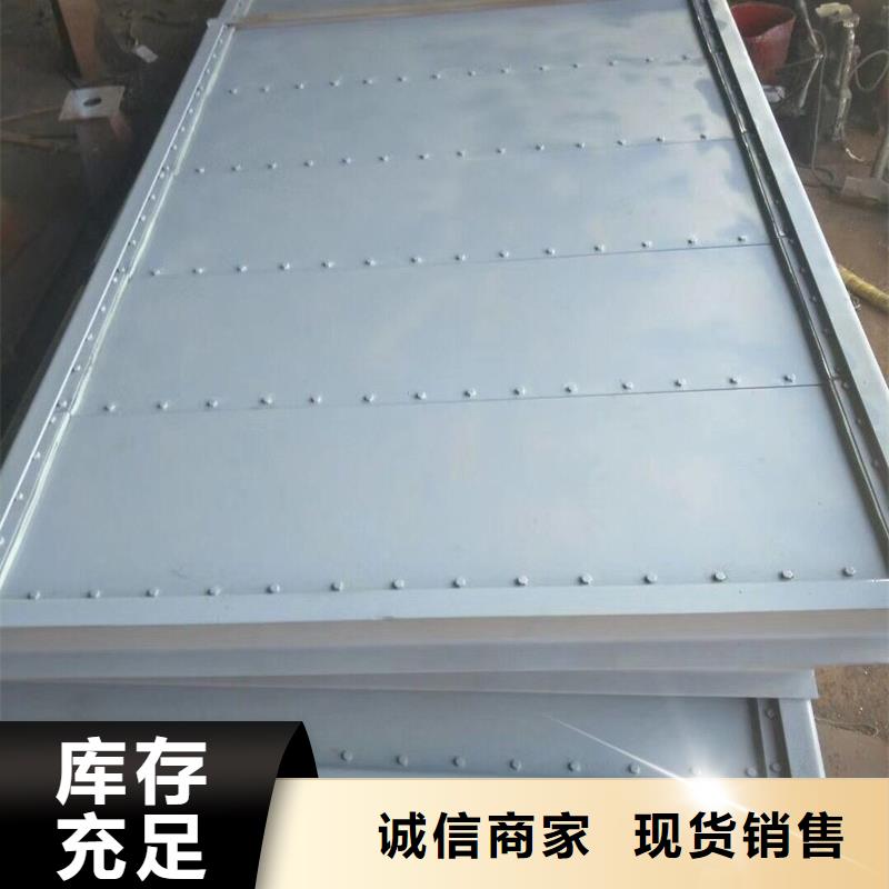  钢闸门专业厂家