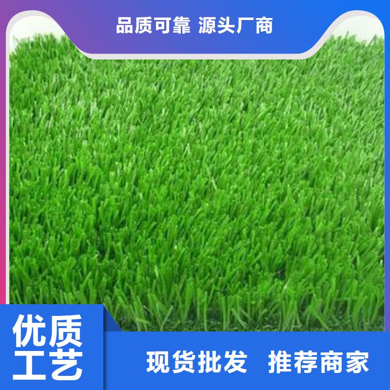 人造草坪塑胶跑道高品质现货销售